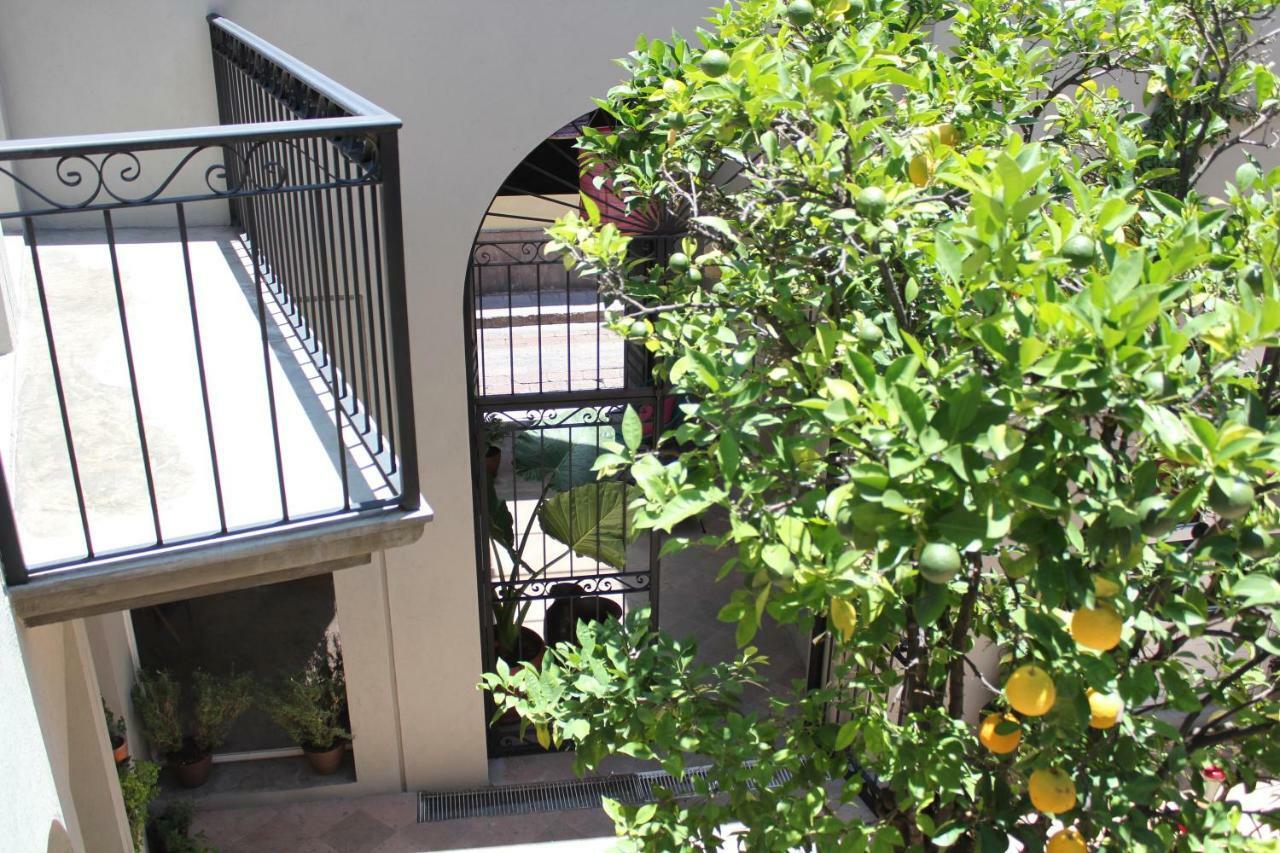 Hotel Mama Carlota Querétaro Dış mekan fotoğraf